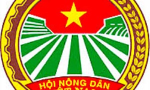 Chỉ thị của Ban Bí thư Trung ương Đảng về lãnh đạo đại hội hội nông dân các cấp tiến tới Đại hội đại biểu toàn quốc Hội Nông dân Việt Nam lần thứ VII